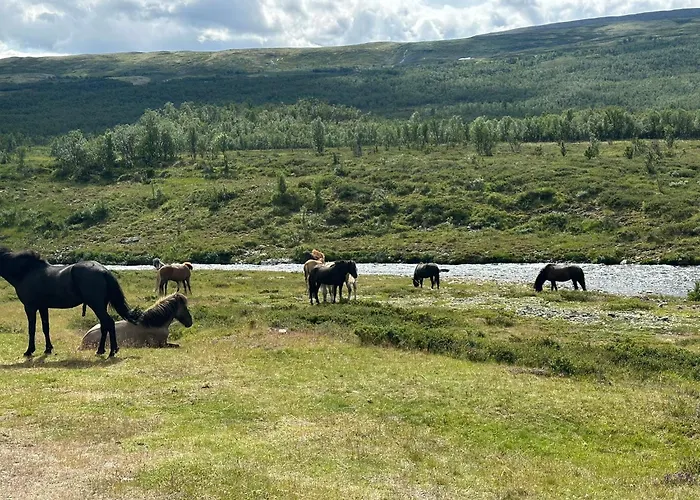 Koselig Hytte Med Uthus Pa Vakre Dovrefjell